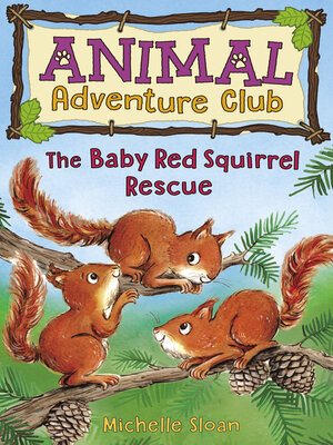 cover image of The Baby Red Squirrel Rescue (Animal Adventure Club 3)